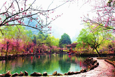 世外桃源酉阳的自驾游攻略