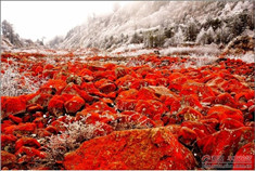 绝美静谧之地 雅家梗旅游攻略