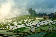 黔东南之旅——梯田五月好风光