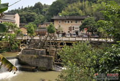 返璞归真 游览福建永定土楼