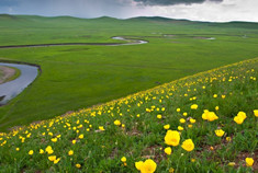 广阔的呼仑贝尔草原穿越攻略