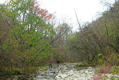 神河源之旅：惊险惊奇惊艳