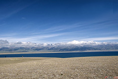 那年 与伊犁的花事之约