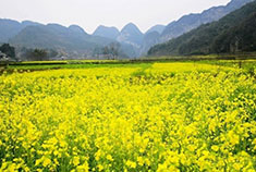 世外桃源云南文山自驾游攻略