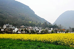 森林中的洞口 云南坝美自驾