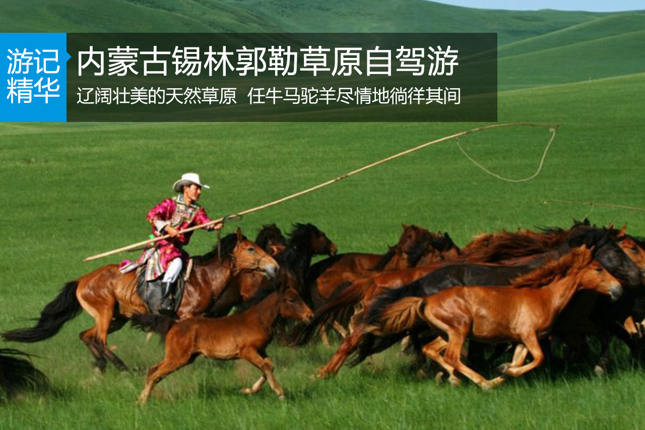 内蒙古锡林郭勒草原自驾游