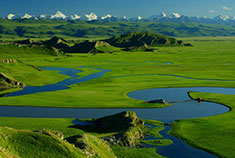 走进醉人唐布拉——印章草原