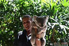 库兰达雨林：世界最古老雨林