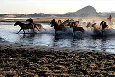 坝上之草天相接 淌河涉水