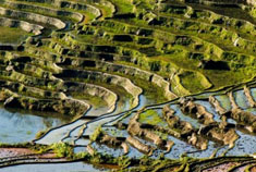 行摄元江 比元阳更美的梯田