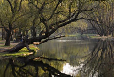 初冬的景色游森林公园看美景