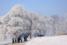 冬季游长白山、雪乡与雾凇岛