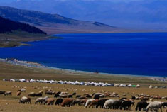 净海斑斓 印象赛里木湖魅影