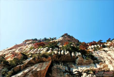 秦岭支脉赛华山 雨水的力量