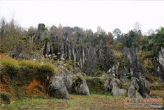 贵州思南石林 应思耕稼多艰