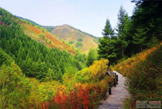 内蒙古乌蒙苏木山 群山叠翠