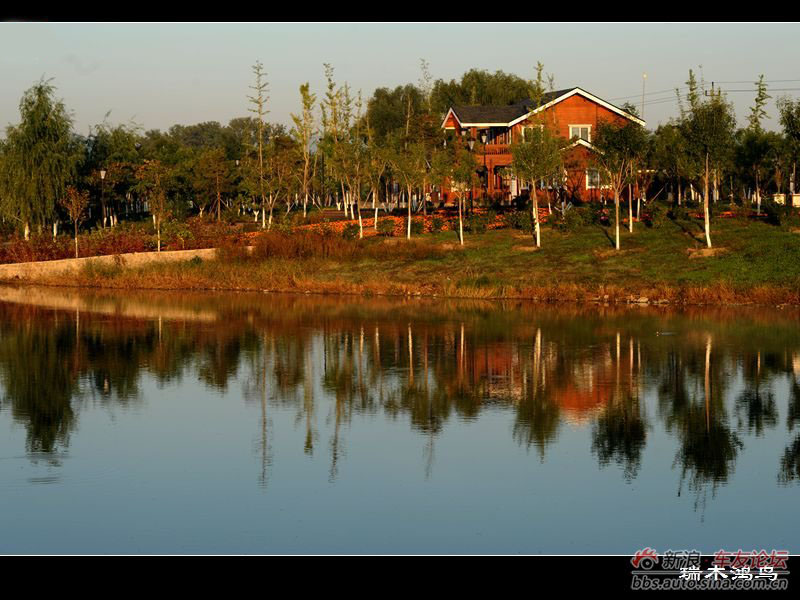 沙河湿地沙河滨河森林公园