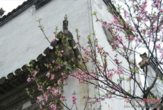 说走就走之最美乡村婺源游