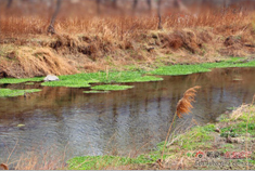 老顶山滴谷寺踏春 寒泉绝胜