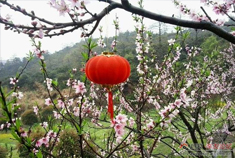 梅岭三月烟雨天 宜赏秦风楼