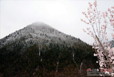 我和四姑娘山有个美丽的约会 