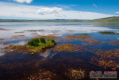 拥抱自然 大美甘南尕海行