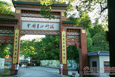 自驾小三去茶山竹海避暑