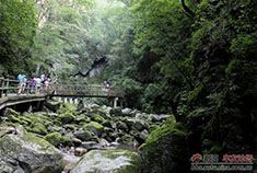 炎炎夏日到牛背梁羚牛谷避暑