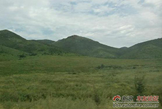 内蒙古乌拉盖草原自驾游