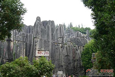 彩云之南超详细五日游记