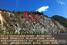 杜鹃开满山 云南轿子雪山游记