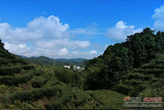 走进天然氧吧 畅游大北山