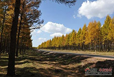 自驾塞罕坝 赏国家公园的美