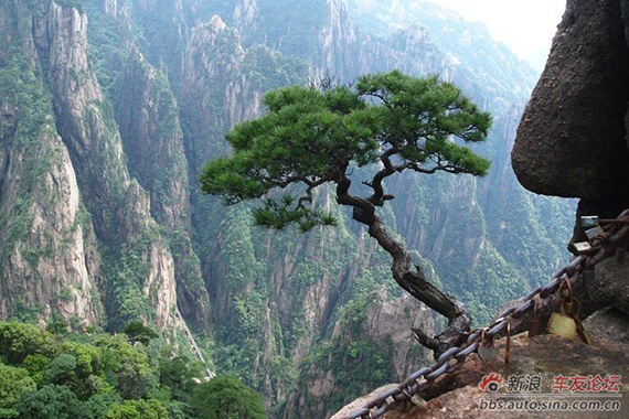 黄山印象 云海迎客松饱眼福