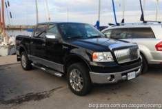 加拿大人和各种品牌的皮卡