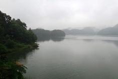 东白湖两日游：斯宅古居 百年香榧森林