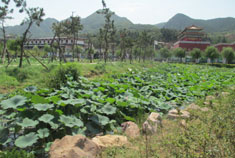 自驾游——宜阳灵山莲花公园（一）