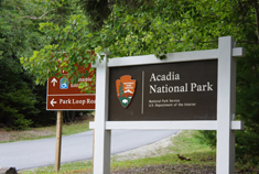 【美东自驾】Acadia风景在路上