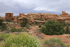 【魅力西行】峡谷地－苍野生辉