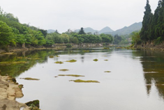 贵州自驾游之天星桥景区+陡坡塘景区