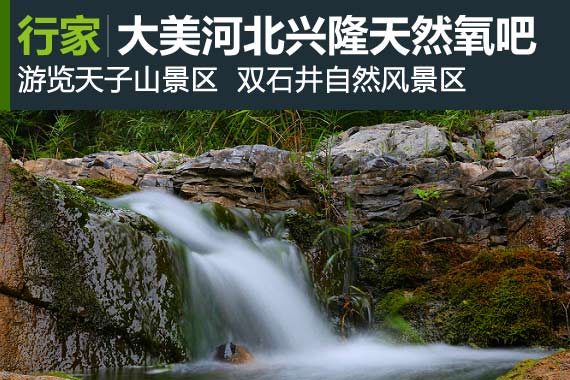 行家：大美兴隆天然氧吧