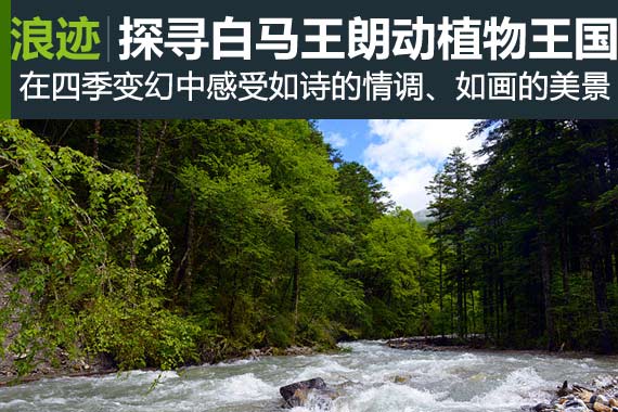 行家：探寻四川白马王朗动植物王国天堂