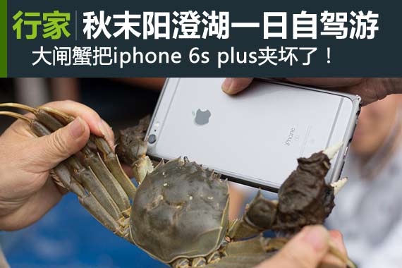 行家：秋末阳澄湖一日自驾游