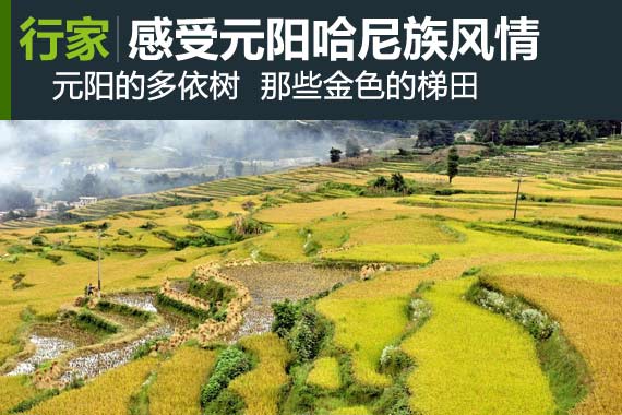 行家：感受元阳哈尼族风情