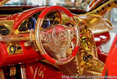 身值1000万美元的红色奔驰黄金套件