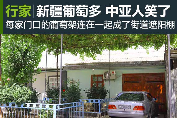 行家：说新疆葡萄多中亚人笑了