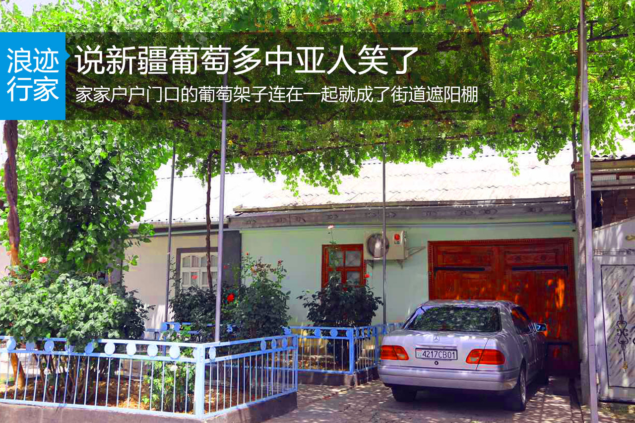 行家：说新疆葡萄多中亚人笑了