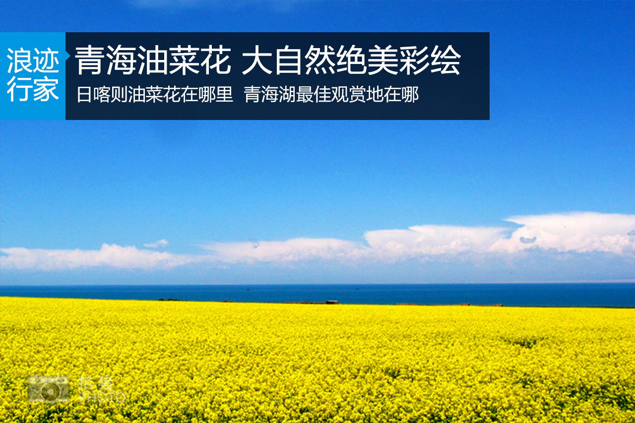 浪迹：盛夏怒放，最美的高原油菜花海