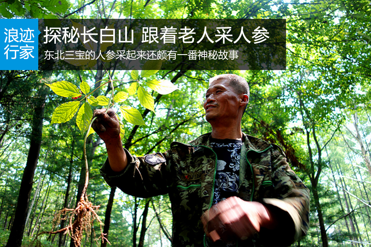 行家：探秘长白山，跟着老把头采人参