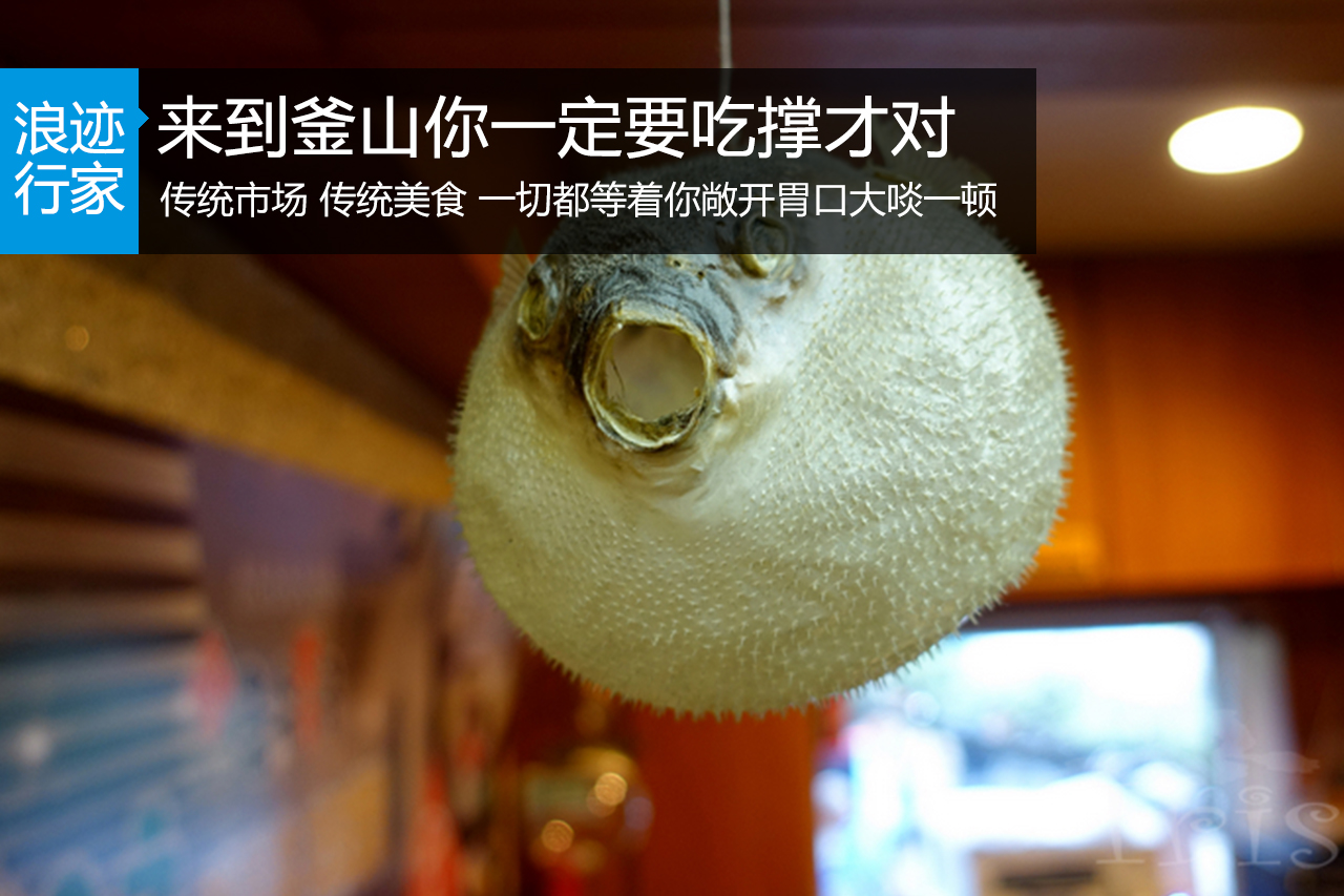 行家：吃货到釜山，一定要吃撑才对！ 